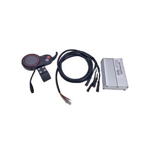 Accesorii Vehicule Electrice