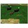 Joc PC Microsoft PC Zoo Tycoon 2Ultimate Collection