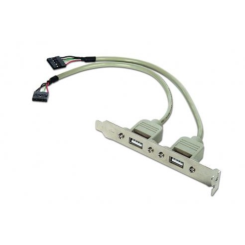 Adaptor Bracket 2x USB