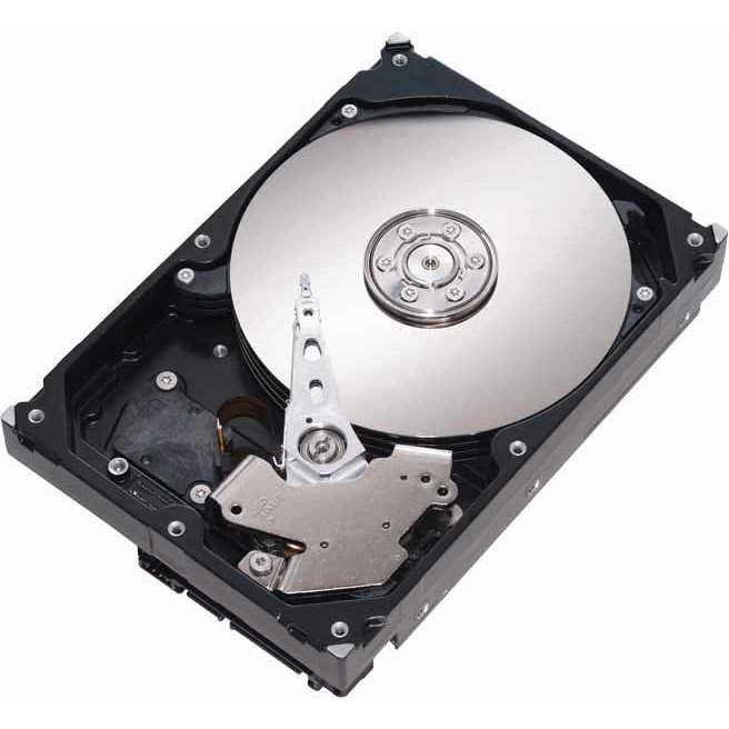 Hard disk ST325031CS 250 GB SATA II 7200 Rpm - Resigilat