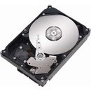 Hard disk Seagate ST325031CS 250 GB SATA II 7200 Rpm - Resigilat