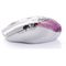 Mouse Segotep S510RF USB Wireless Pink