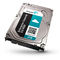 Hard Disk Seagate Enterprise Capacity 3.5 ST3000NM0023
