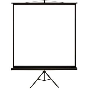 Ecran de proiectie 4World 08139 cu suport 178 x 178 cm 1:1 White