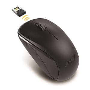 Mouse Genius Optical Wireless NX-7000 Black