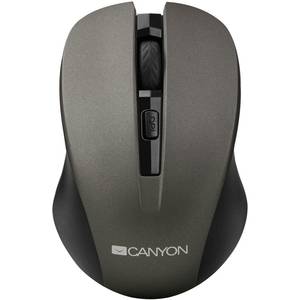 Mouse Canyon CNE-CMSW1G Gray