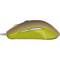 Mouse gaming SteelSeries Rival 100 4000 dpi Gaia Green