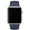 Curea smartwatch Apple Watch 42mm Midnight Blue Sport Band