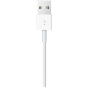 Cablu de incarcare Apple Watch Magnetic Charging Cable 0.3m
