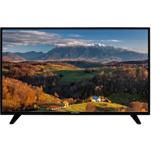 Televizor Wellington LED Smart TV 55 FHD287 Full HD 139cm Black