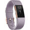 Bratara Fitness Fitbit Charge 2 S Levander Pink