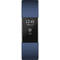 Bratara Fitness Fitbit Charge 2 S Silver Blue