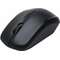 Mouse Delux M516 Wireless Black