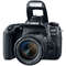 Aparat foto DSLR Canon EOS 77D 24.2 Mpx WiFi Kit EF-S 18-55mm f/4-5.6 IS STM