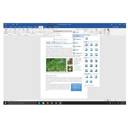 Office 365 Home Microsoft 32 64 biti Engleza Subscriptie 1 an  5 utilizatori