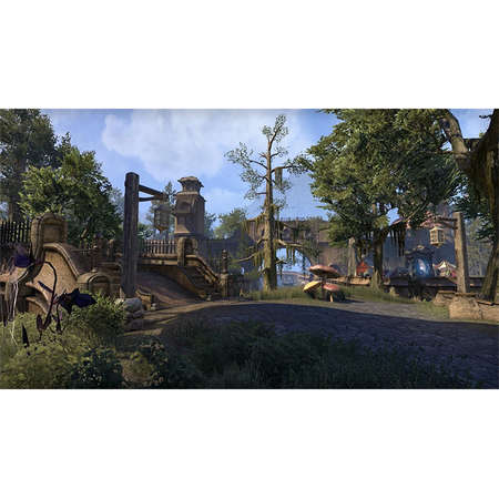Joc consola Bethesda The Elder Scrolls Online Morrowind Xbox One