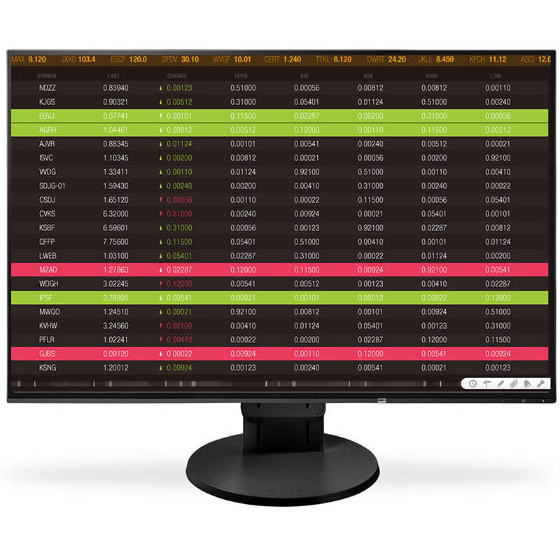 Monitor LED EV2456 24 inch 5ms Black