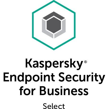 Antivirus Endpoint Security for Business 25 - 49 Useri  Licenta upgrade 1 An