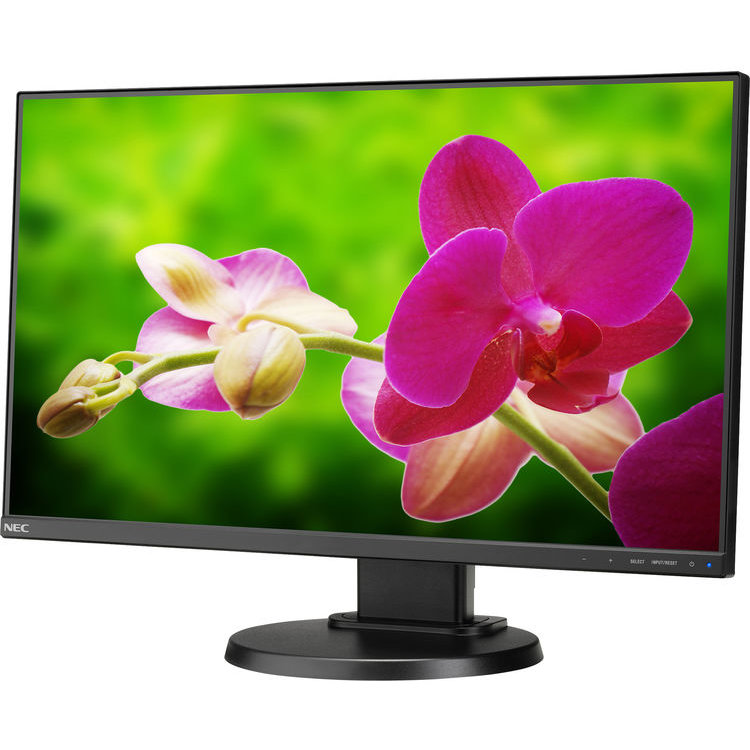 Monitor E241N 24inch 6ms Full HD Black