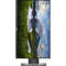 Monitor LED Dell P2418D 23.8 inch 4ms Black 5Yr NBD