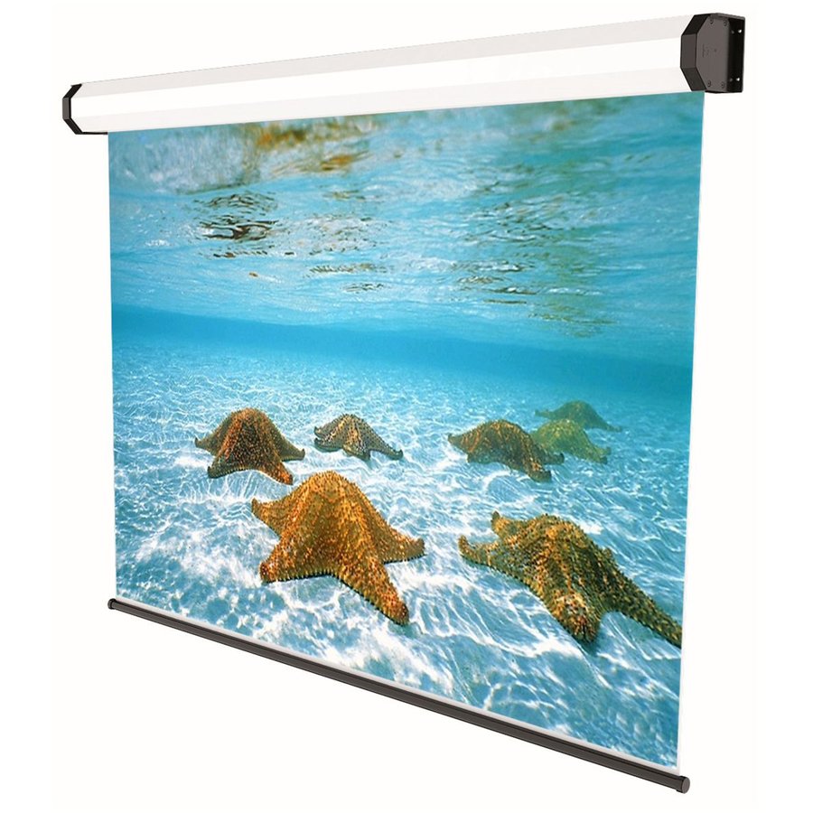 Ecran de proiectie electric Professional 280 x 210cm