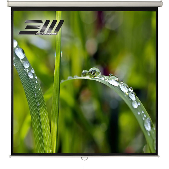 Ecran de proiectie Manual 1/1MN300 300 x 300cm White