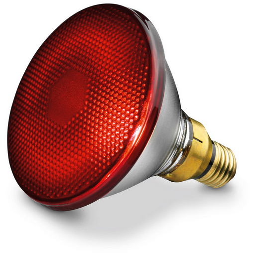 Lampă infraroșu Beurer IL21 150W — imaginea 2
