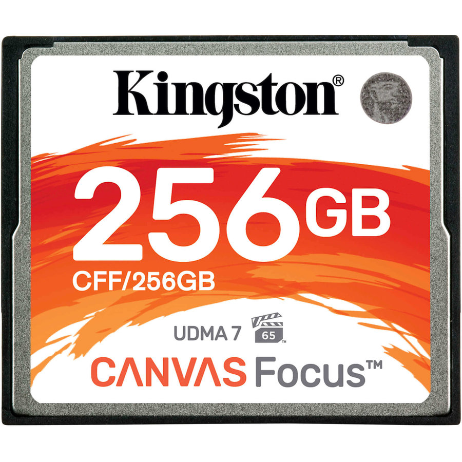 Card Compact Flash Canvas Focus 256GB