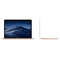 Laptop Apple MacBook Air 13.3 inch WQXGA Retina True Tone Intel Core i5 1.6GHz 8GB DDR3 128GB SSD macOS Mojave Gold INT keyboard