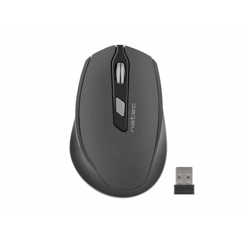 Mouse SISKIN Black Gray