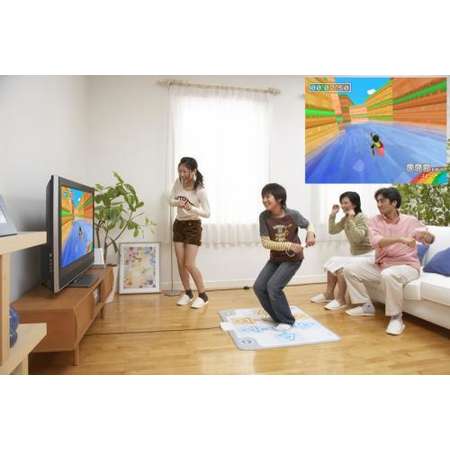 Joc consola Bandai Family Trainer: Outdoor Challenge Wii