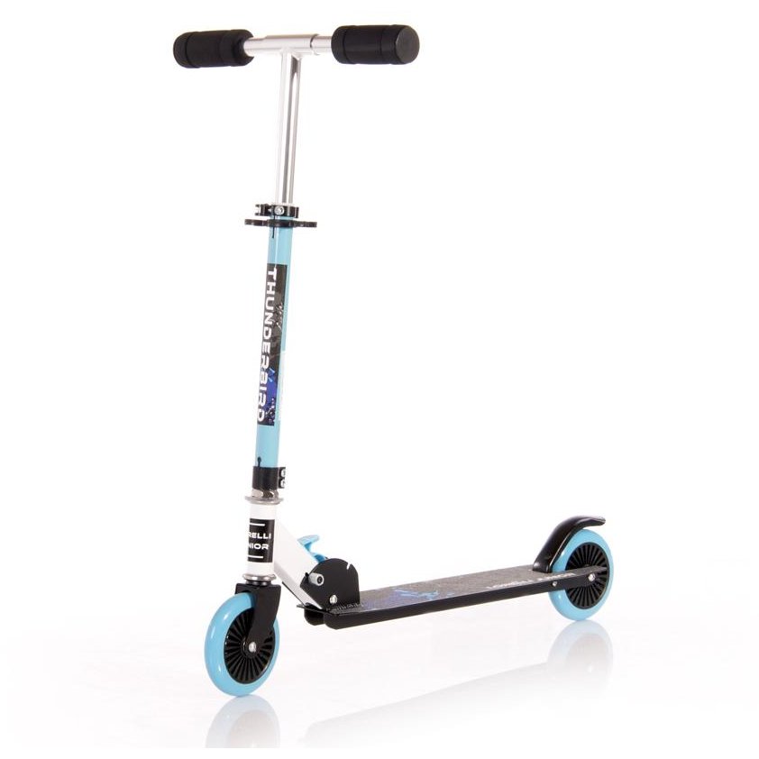 Trotineta pentru copii 10390060008 Thunderbird 0-50kg Blue