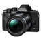 Aparat foto Mirrorless Olympus E-M10 Mark IV 14150 Black + Obiectiv M.Zuiko Digital 14-150mm Black