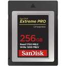 Extreme Pro 256GB CFexpress