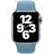 Curea smartwatch Apple Watch 40mm Band: Northern Blue Sport Band Regular (Seasonal Nov2020)