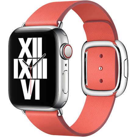 Curea smartwatch Apple Watch 40mm Band: Pink Citrus Modern Buckle Large (Seasonal Fall 2020)