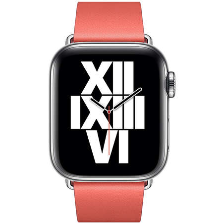 Curea smartwatch Apple Watch 40mm Band: Pink Citrus Modern Buckle Large (Seasonal Fall 2020)