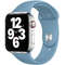 Accesoriu smartwatch Apple Watch 44mm Band: Northern Blue Sport Band Regular (Seasonal Nov2020)