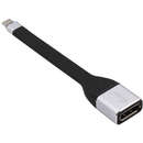 USB-C - DisplayPort Black Silver