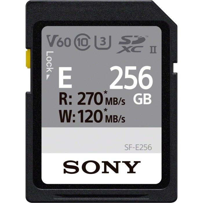 Card de memorie E Series 256GB SDXC Clasa 10 UHS-II