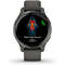 Smartwatch Garmin Venu 2S Slate Grey