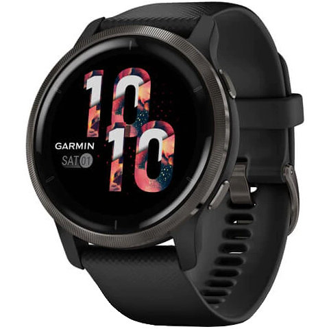 Smartwatch Venu 2 Black/Slate