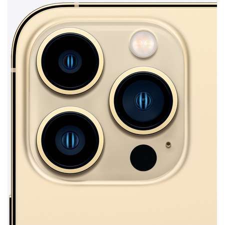 Telefon mobil Apple iPhone 13 Pro 1TB Gold ITGalaxy.ro