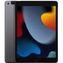 iPad 9 IPS 10.2inch A13 Bionic 3GB RAM 256GB Flash iPadOS 4G Grey