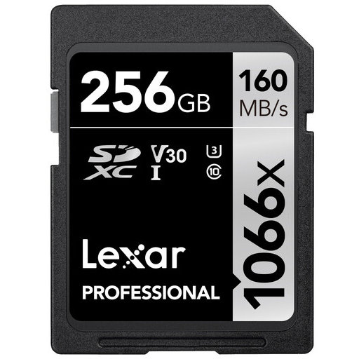Card SDXC 256GB Professional 1066x UHS-I