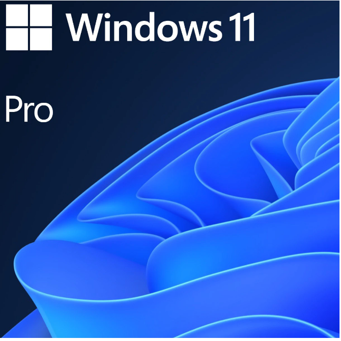 Sistem de operare Windows 11 Professional 64-bit Romana OEM DVD