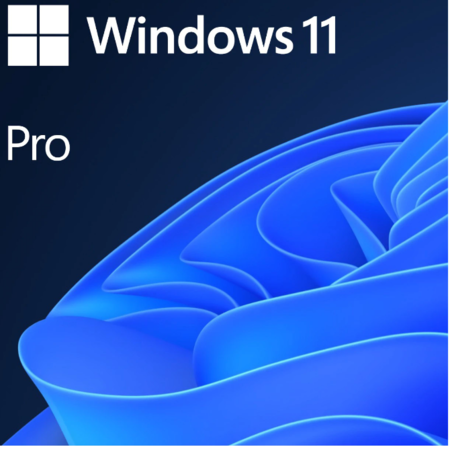 Sistem de operare Microsoft Windows 11 Professional 64-bit Romana OEM DVD