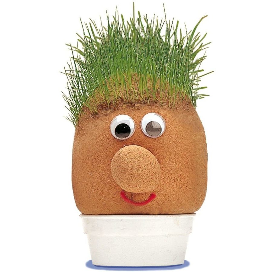 Domnul Cap de Iarba KCPY36