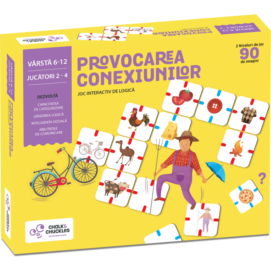 Provocarea Conexiunilor Why Connect