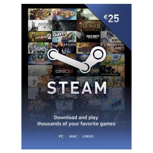 STEAM WALLET 25 EURO (CD KEY)